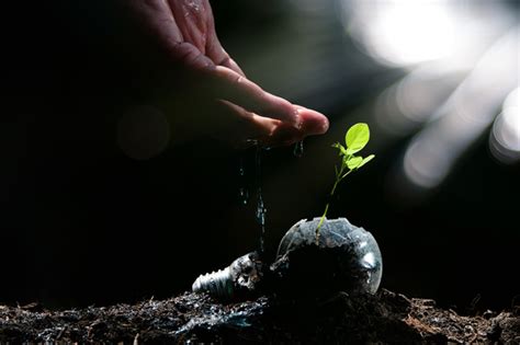 Watering plant seedlings Stock Photo 02 free download