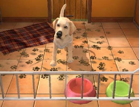 Animal Shelter Simulator Game Play Online