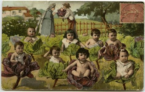 Cabbage patch babies | Cabbage patch babies, Antique postcard, Postcard