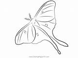 Green Moth Coloring Page For Kids  Free Moths Printable Coloring Pages sketch template