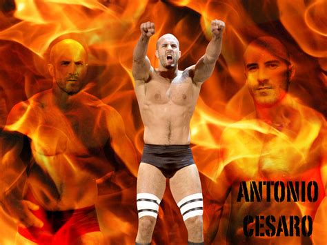 WORLD WRESTLING ENTERTAINMENT: Antonio cesaro wwe