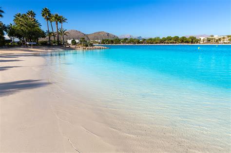 Platja de Alcudia beach in Mallorca Majorca - Meditravel