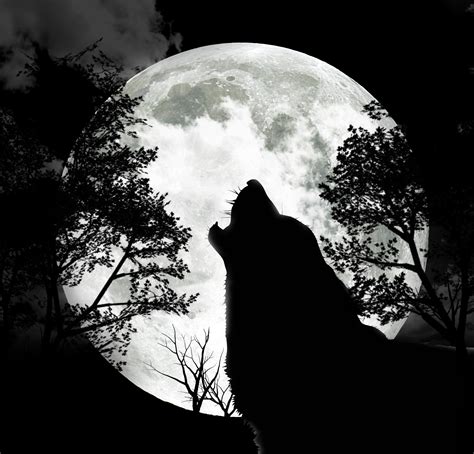 The Full Wolf Moon – 9th January ’12 | Lost in a daydream