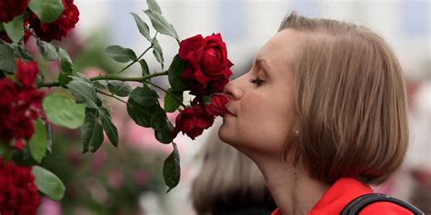 The Chemistry Of A Rose's Sweet Smell Explained | HuffPost