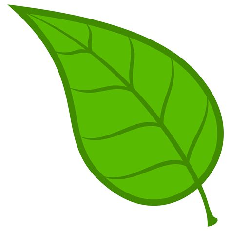 Clip Art Green Leaf