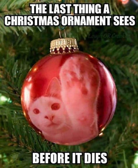 No Cat Meme Christmas