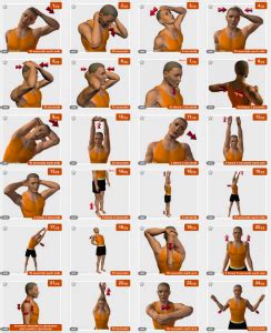 Neck Stretching Exercises Pdf | amulette