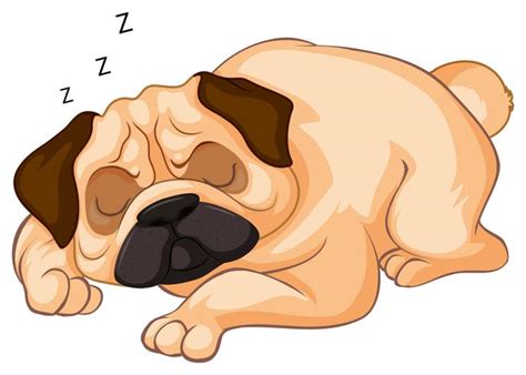 Little dog sleeping on white background 300948 Vector Art at Vecteezy