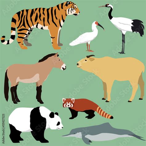 Vector set of cartoon animals of China. Stock Vector | Adobe Stock