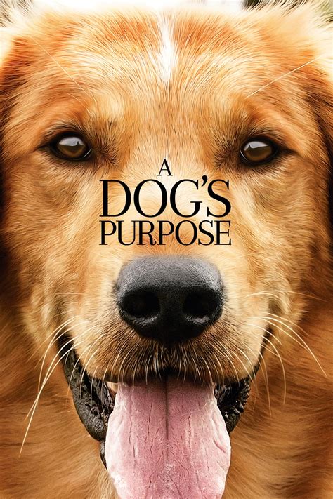 A Dog's Purpose 2017 full movie watch online free on Teatv