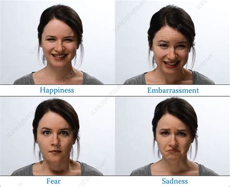 Different Facial Expressions - Stock Image - C027/3990 - Science Photo Library