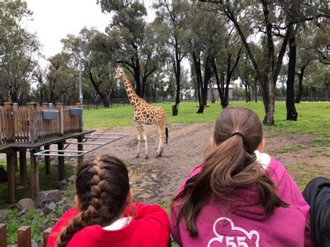 Visiting Taronga Western Plains Zoo Dubbo - The Kid Bucket List