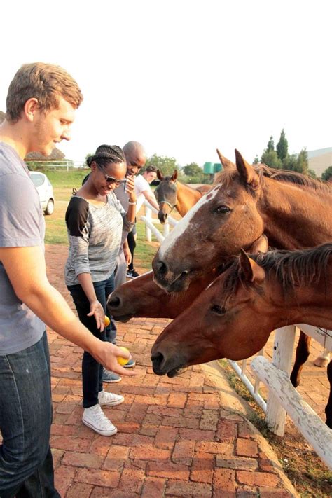 Gallery - Harties Horse Trail Safaris