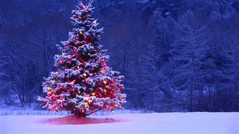 Christmas Forest Wallpapers - Top Free Christmas Forest Backgrounds - WallpaperAccess