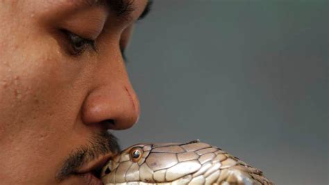 Snake Handler In Hospital After Cobra Bite | UK News | Sky News