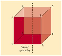 16+ Chapter 8 Geometry - TerrenceSara