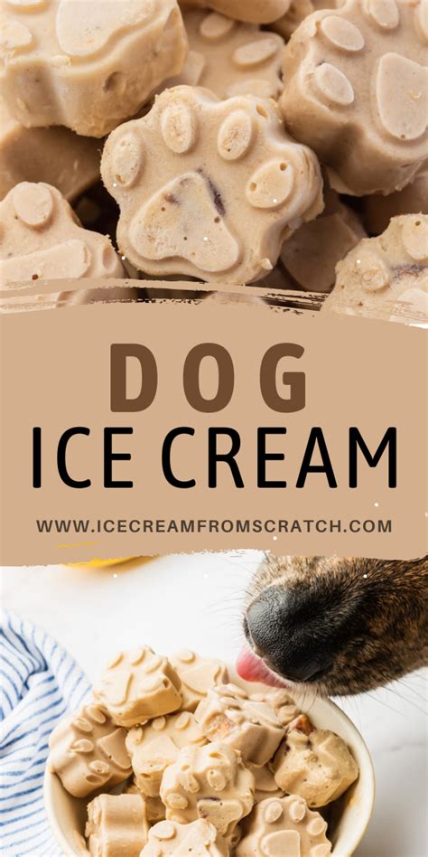 Dog Ice Cream - Ice Cream Recipes | Dog treats homemade recipes, Healthy dog treats homemade ...