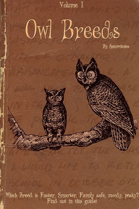 Owl Breeds by Lost-in-Hogwarts | Harry potter book covers, Hogwarts, Harry potter books