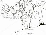 Birch Tree Coloring Page At GetColoringscom  Free Printable Colorings sketch template