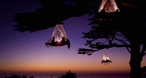 Travelettes » » Tree Camping