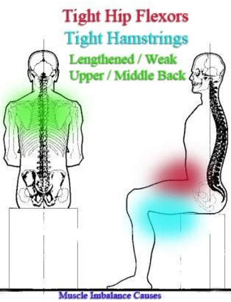 Seated Posture Problems -- excellent article on postural imbalance correction and prevention. # ...