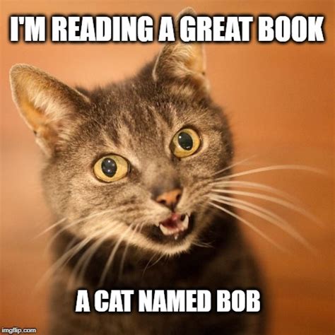 Image tagged in cat meme,cat,reading,books,kitty,laughing cat - Imgflip