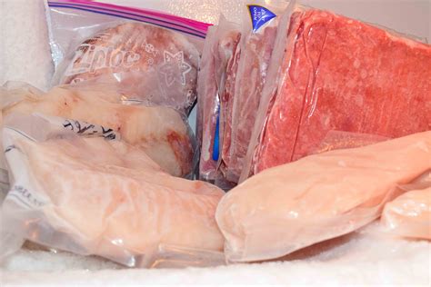 Frozen Food Storage - Survival Prepper