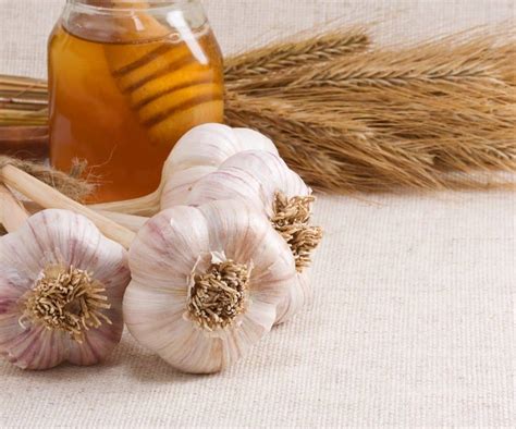 Antibacterial Value of Honey: Discovering its Natural Ingredients