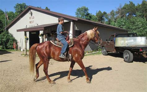 Lake Michigan Area Attractions - Michigan Horseback Riding- Saugatuck ...