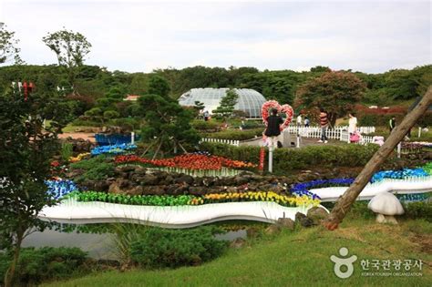 10 Interesting Museums on Jeju Island That'll Leave You in Awe