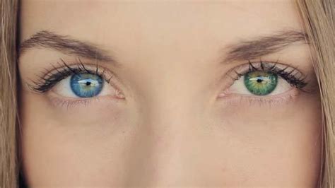 And I'm here stuck with hazel green😭 I love heterochromia | Eye color, Beautiful eyes color ...