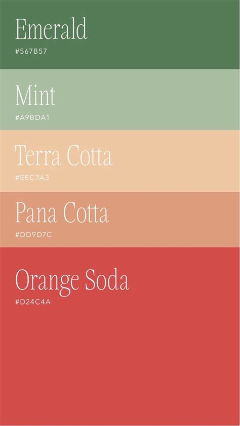 Pin by Dont.Weight.Up on Color Palettes in 2024 | Color design inspiration, Brand color palette ...