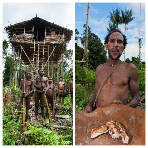 The Korowai Tribe – Cannibals of Papua New Guinea - Outdoor Revival