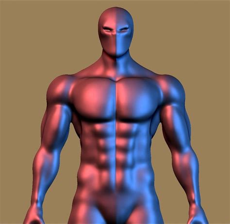3D model Human Body | CGTrader