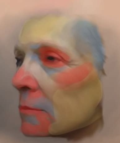 face color zones from cowsmanaut youtube video Portraiture Painting ...