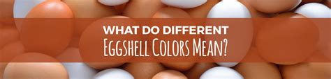 Different Egg Colors and What They Mean | Sauder's Eggs