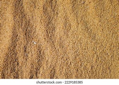 Gold Sand Texture Background Series Stock Photo 2229185385 | Shutterstock