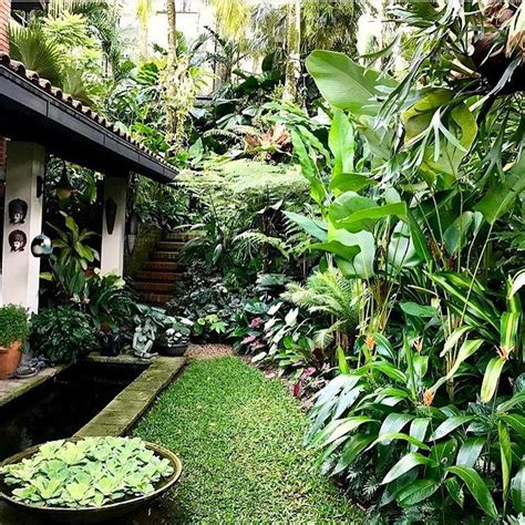 470 best tropical landscaping ideas images on Pinterest | Tropical gardens, Backyard ideas and ...