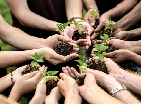 American Fundraising Foundation – How You Can Help To Improve The Environment