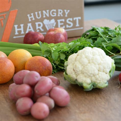 Harvest Ideas — Hungry Harvest