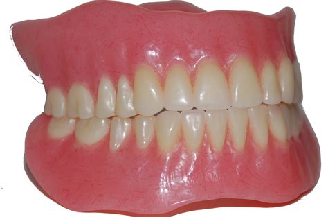 Fake Teeth Png | Free PNG Image