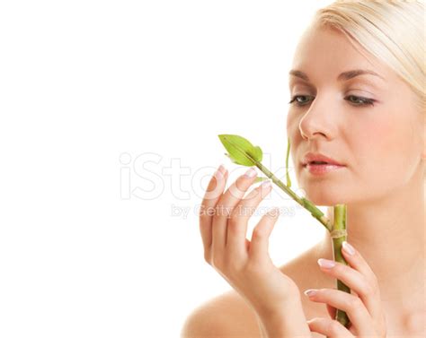 Beautiful Young Woman With A Bamboo Plant Stock Photo | Royalty-Free | FreeImages
