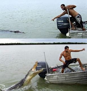 Outback Snack Australia: Saltwater Crocodile Attacks