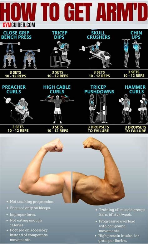 Target And Tone Your Entire Arms With These 4 Easy Exercises - GymGuider.com | Gym workout chart ...