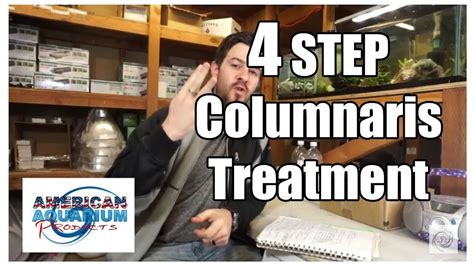 How to: 4 Steps Columnaris Treatment Fish Bacterial Infection - YouTube