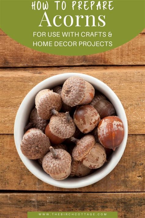 How to Prepare Acorns for Use with Crafts - The Birch Cottage