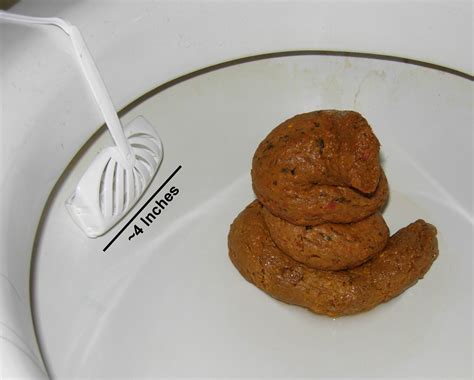 File:Human Feces.jpg - Wikipedia