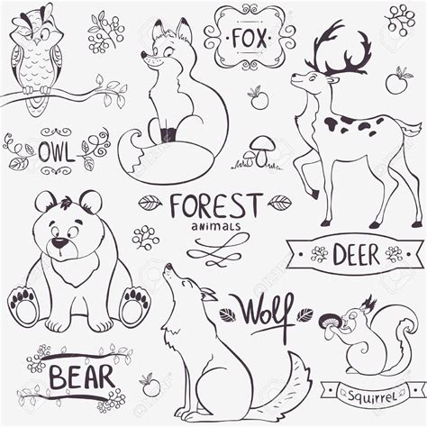 Illustration Set Of Cute Animals Of The Forest With Design Names Royalty Free Cliparts, Vectors ...