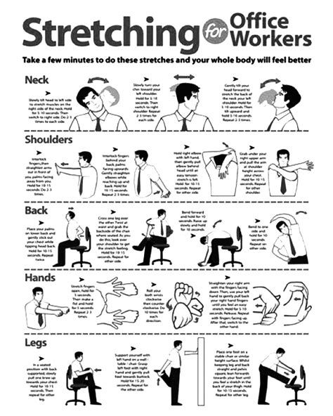 Stretching Exercises for Office Workers | Workout at work, Office exercise, Office chair workout