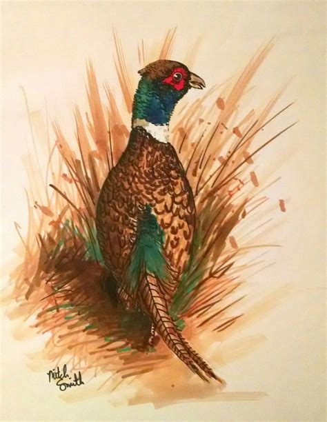 Ring-Necked Pheasant illustration in color marker. | Painting illustration, Painting, Watercolor ...